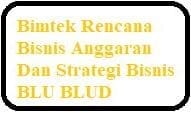 Bimtek Rencana Bisnis Anggaran Dan Strategi Bisnis BLU BLUD